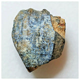 S37 - Ouranosaurus nigeriensis Basal Hadrosaur Dinosaur Tooth Cretaceous Elrhaz Fm