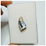 JS12 - Rare Afrovenator abakensis Megalosaurid Dinosaur Tooth Jurassic Tiouraren Fm