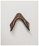 T267 - Exceedingly Rare Undescribed Cretaceous Turtle Jaw Dentary Bone KemKem