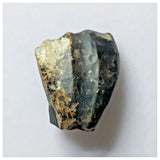 S15 - Ouranosaurus nigeriensis Basal Hadrosaur Dinosaur Tooth Cretaceous Elrhaz Fm