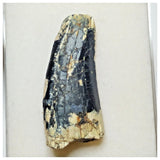 JS8 - Rare Afrovenator abakensis Megalosaurid Dinosaur Tooth Jurassic Tiouraren Fm