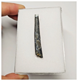 T36 - Top Rare Ornithocheirid Pterosaur Tooth - Lower Cretaceous - Elrhaz Fm