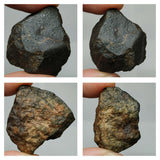 Lot of Different Meteorites: Unclassified NWA Chondrites, Taza NWA 859 - Order (143935394007)