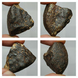 Lot of Different Meteorites: Unclassified NWA Chondrites, Taza NWA 859 - Order (143935394007)