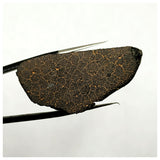 13019 M1 - New "NWA 14740" (Provisional) Carbonaceous Chondrite C3 Ung Meteorite 13.5g