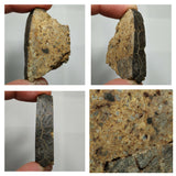 N5, N12 & T107 2 Complete Oriented NWA 859 TAZA Iron Plessitic Octahedrite Meteorites + New NWA 13472 LL4-6 Ordinary Chondrite Meteorite 28g + Tarda 0.2g - István Order