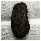 13020 H3 - New "NWA 14740" (Provisional) Carbonaceous Chondrite C3 Ung Meteorite 2.77g