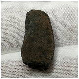 13020 H3 - New "NWA 14740" (Provisional) Carbonaceous Chondrite C3 Ung Meteorite 2.77g