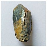 S18 - Top Rare Unidentified Basal Sauropod Dinosaur Tooth Jurassic Tenere Desert