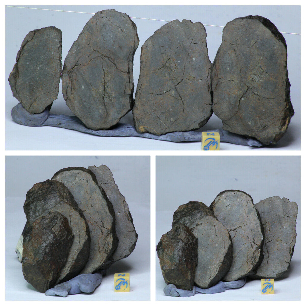 L246 - Whole NWA Chondrite Meteorite Cut Into 4 Thick Slices 312.8g Prob Type L6 - Kouga Order