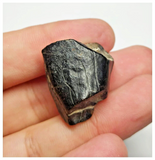 T27 - Rare Ouranosaurus Basal Hadrosaurid Dinosaur Tooth Cretaceous Elrhaz Fm