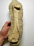 A3, A16, A27, A29 & P26 Selenopeltis + 3 Eudolatites + Dyrosaurus phosphaticus Femur Bone +Crocodile Limb Bone + Dyrosaurus phosphaticus Femur Bone + 4 Enchodus libycus - Order 143935158356