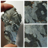Meteorite Lot: New NWA IAB-MG, Unclassified Cgondrite Slices + Winonaite High Metal (143950967558)