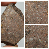 Meteorite Lot: New NWA IAB-MG, Unclassified Cgondrite Slices + Winonaite High Metal (143950967558)