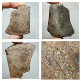 Meteorite Lot: New NWA IAB-MG, Unclassified Cgondrite Slices + Winonaite High Metal (143950967558)