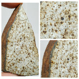 Meteorite Lot: New NWA IAB-MG, Unclassified Cgondrite Slices + Winonaite High Metal (143950967558)