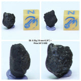 New Classification TARDA Carbonaceous Chondrite C2 Ung Witnessed Meteorite - Order Matthew