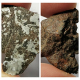 Meteorite Lot: New NWA IAB-MG, Unclassified Cgondrite Slices + Winonaite High Metal (143950967558)