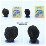 Tarda Carbonaceous Chondrire C2 Ungrouped. Bolan Order.