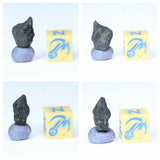 New Classification TARDA Carbonaceous Chondrite C2 Ung Witnessed Meteorite - Order Matthew