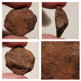 Meteorite Collection: ZHOB H3-4 1.6g + Low Metal Winonaite 5.48g + NWA 12416 C3 ung 1.2g (143947388967)