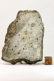 Meteorite Collection + Trilobite Collection Order 143950940216