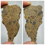 Copy of Meteorite Collection + Trilobite Collection Order 143950960155