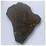 13100 A22 - "NWA 13758" R3 Rumuruti Chondrite Meteorite 7.28g Polished Slice