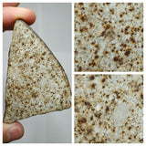 Copy of Meteorite Collection + Trilobite Collection Order 143950960155