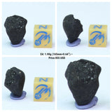 Tarda Carbonaceous Chondrire C2 Ungrouped 3.28g & 1.93g. Roger Order.