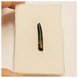 JS55 - Top Rare Nigersaurus taqueti Sauropod Dinosaur Tooth Cretaceous Elrhaz Fm