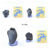 "Tarda" Carbonaceous Chondrite C2 Ungrouped. Order Takashi