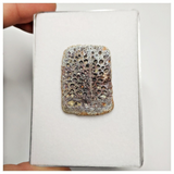 T237 - Nicely Preserved Upper Cretaceous Crocodile Dermal Scute Bone KemKem Beds