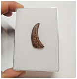 T63 - Top Rare Unusual Upper Cretaceous Pterosaur Claw KemKem Beds Ifezouane Fm