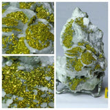 Lot of Decorative Fossils - 143936022763 Order