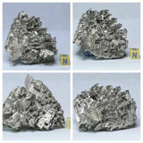 Lot of Decorative Fossils - 143936022763 Order