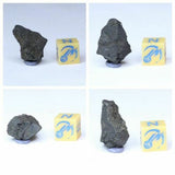 New Classification TARDA Carbonaceous Chondrite C2 Ung Witnessed Meteorite - Order Matthew