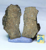 L76/L69/L72/L73 NWA Chondrite Meteorites - Dirk Order