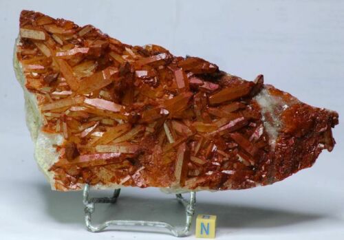 Laurent Lode Order - Lot of Fossils & Meteorites