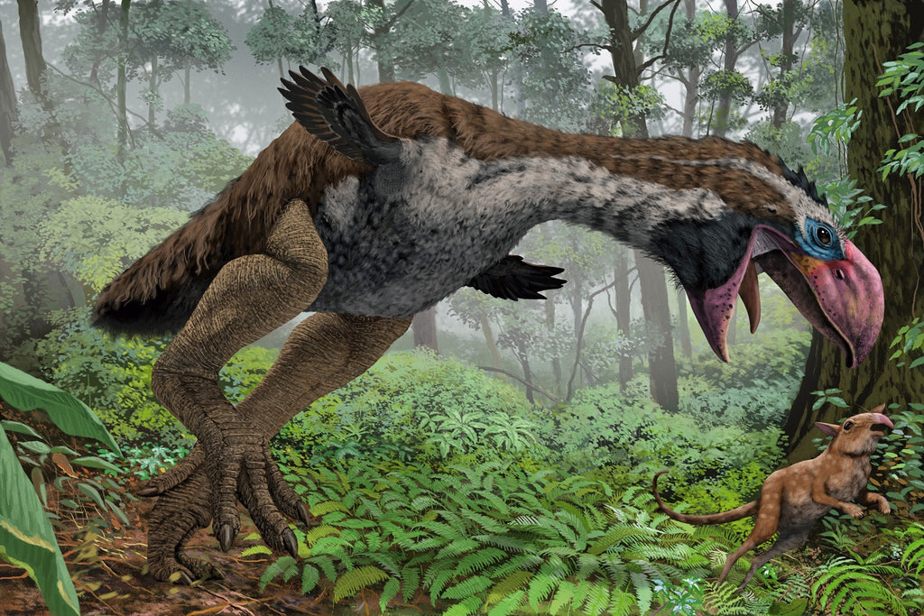 Terror Birds To Trial: Carnivores or Herbivores?