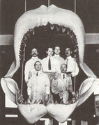 Carcharodon Megalodon, The One Who Devoured Whales