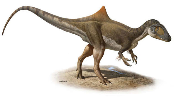 Spain's Most Complete Dinosaur