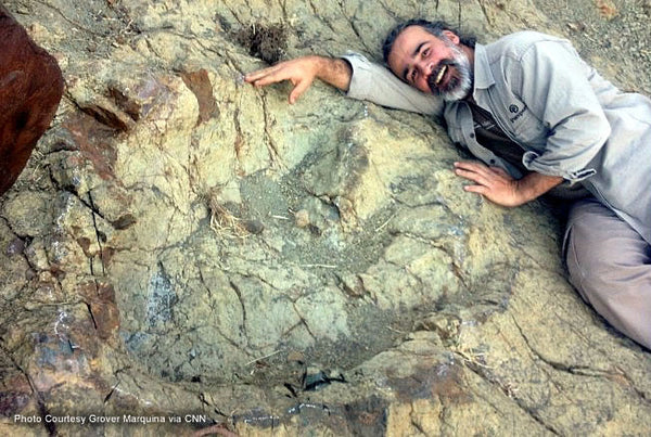 The Largest Footprint of a Carnivorous Dinosaur