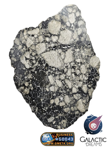 Lunar Meteorites