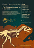 20328 - Nicely Preserved Carcharodontosaurus saharicus Dinosaur Premaxillary Tooth