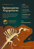 20144 - Nicely Preserved Large Spinosaurus aegyptiacus Dinosaur Tooth