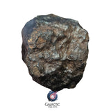 30000 - Complete NWA Unclassified Ordinary Chondrite Meteorite 307 g Individual