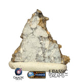 S274 - "The Apollo Lunar" Meteorite Part Slice "Gadamis 008"  Lunar ferroan anorthosite 0,40g