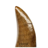 J566 - Tyrannosaur Dinosaur Tooth - Nanotyrannus sp - Late Cretaceous - Lance Creek Fm