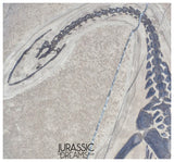 S227 - Large & Nicely Preserved Keichousaurus hui Early Triassic Marine Reptile